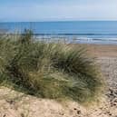 Lunan Bay was one of a number of Angus beaches which received an 'excellent' grading.