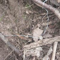 Police appealing for information after illegal snares found