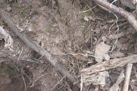 ​The snares were found on Balmashanner hill near Forfar. (Pic: Police Scotland)