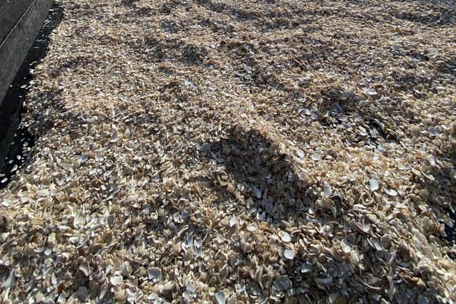 Shingle on the new raft, which provides insultation for nesting Terns. (Pic: Richard Averiss)