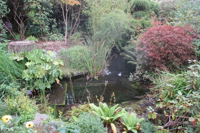 The garden at 10 Menzieshill Road enjoys a sloping site overlooking the River Tay. It features one of the famous nine wells which give their name to the area.