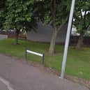 ​Seven cats have been poisoned in Forfar’s Threewells Drive area. (Google Maps)