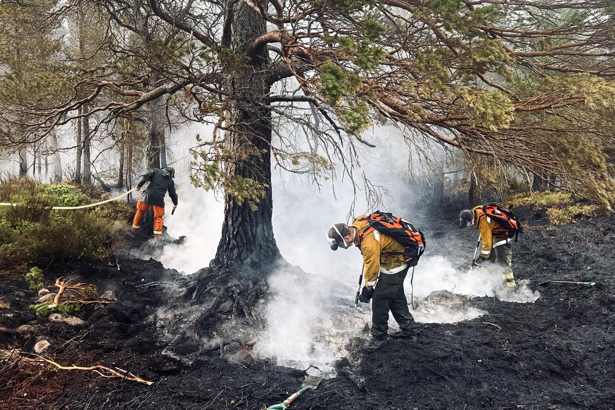 National Parks unite to tackle wildfire threat