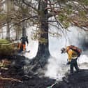 ​Firefighters were involved in fighting the Glenmore fire for weeks this summer. (pic:Ed Smith)