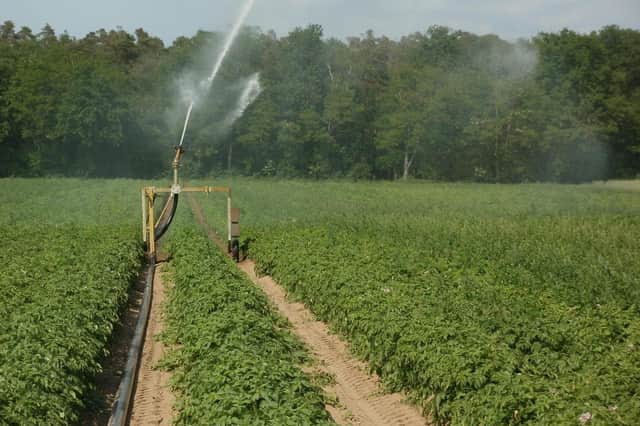 Businesses which use water are being asked to plan accordingly, such as irrigating at night if possible.