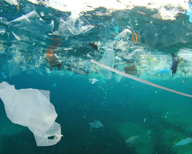 Plastic bottles topped the list of the most littered items along Scotland's rivers.